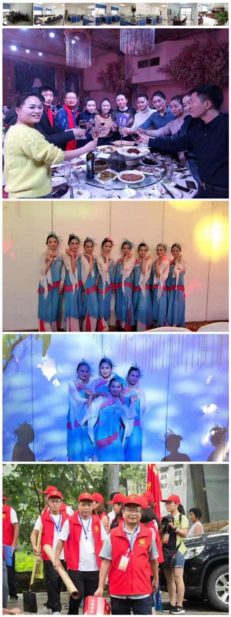 公司參加公益活動