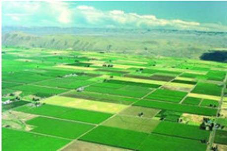 襄城縣2019年姜莊鄉(xiāng)0.8萬畝高標準農(nóng)田建設(shè)項目