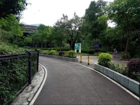 庫莊鎮(zhèn)鎮(zhèn)區(qū)綠化工程