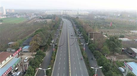 魯平大道綠化提標(biāo)改造工程等