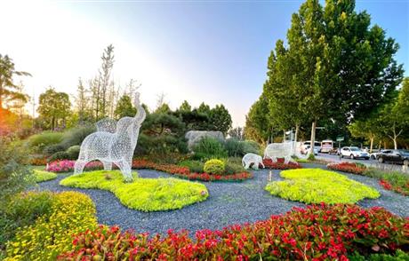 市政道路人行步道統(tǒng)籌提升整治樹穴周邊樹根拱起維修工程監(jiān)理