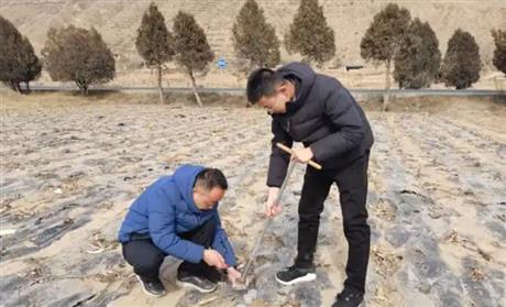 郟縣農(nóng)業(yè)農(nóng)村局第三次土壤普查邊界校核土壤制圖項目